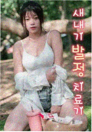 江滨湿地木栈道与候鸟